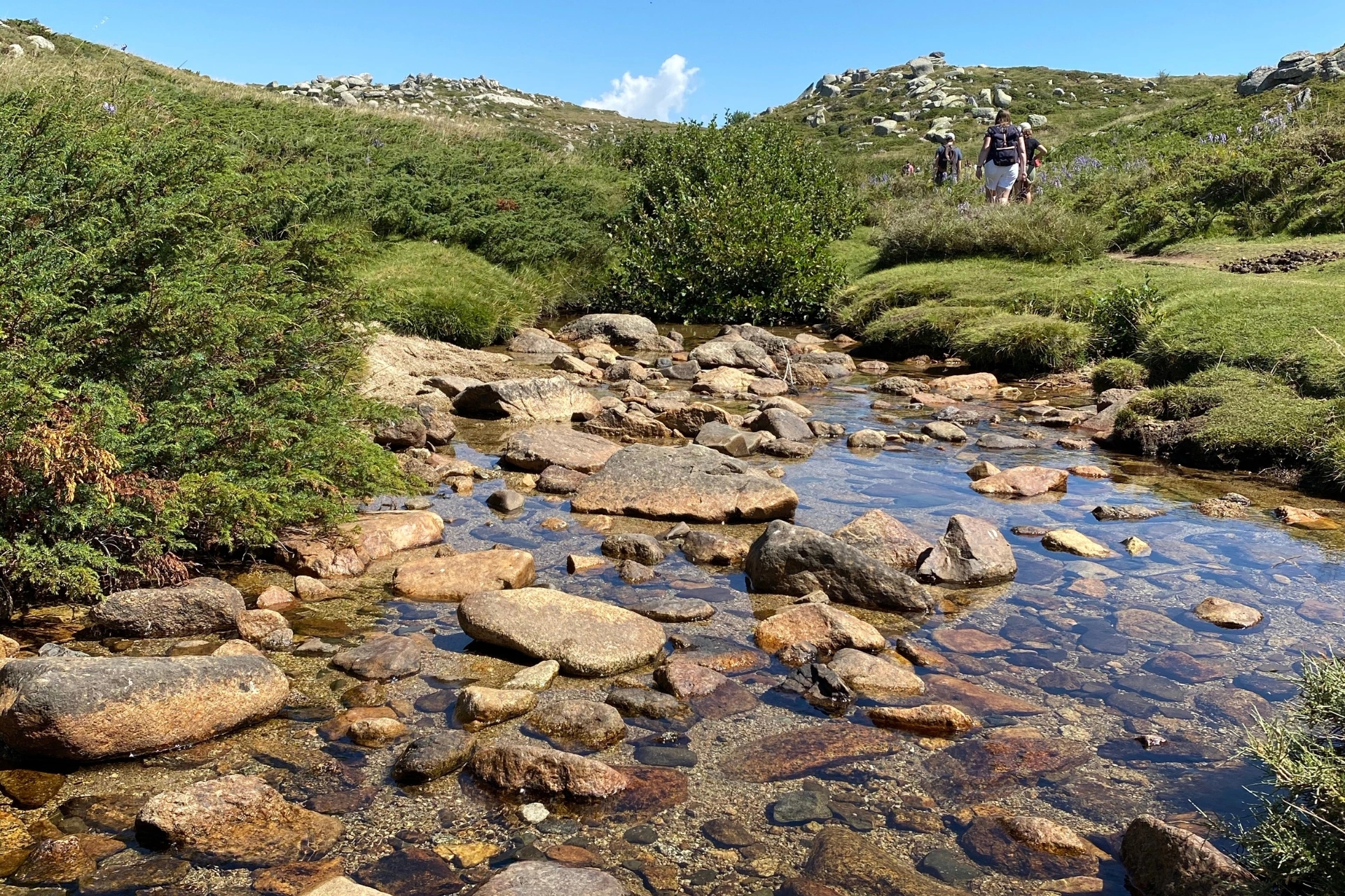 Des randonnées sublimes au départ de Lama en Balagne